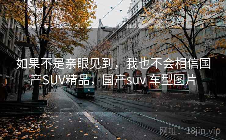 如果不是亲眼见到，我也不会相信国产SUV精品，国产suv 车型图片