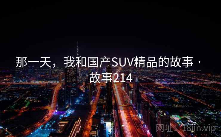 那一天，我和国产SUV精品的故事 · 故事214