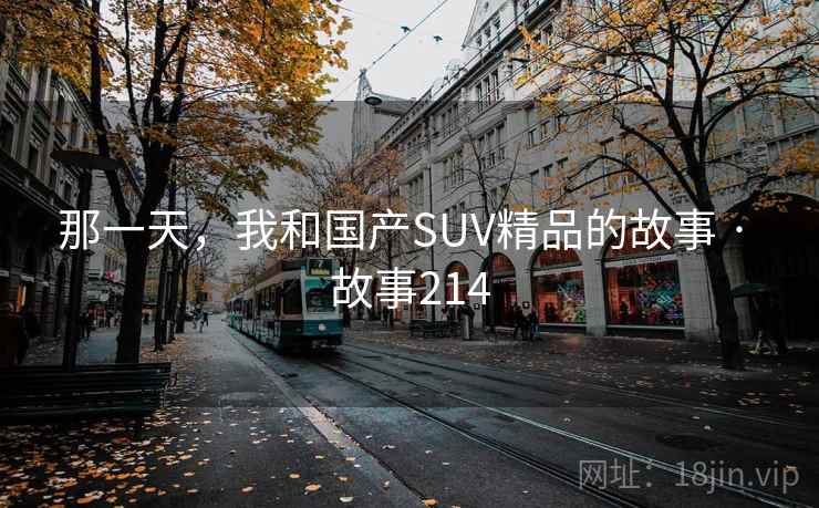 那一天，我和国产SUV精品的故事 · 故事214