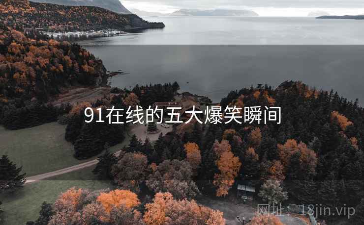 91在线的五大爆笑瞬间 91在线的五大爆笑瞬间